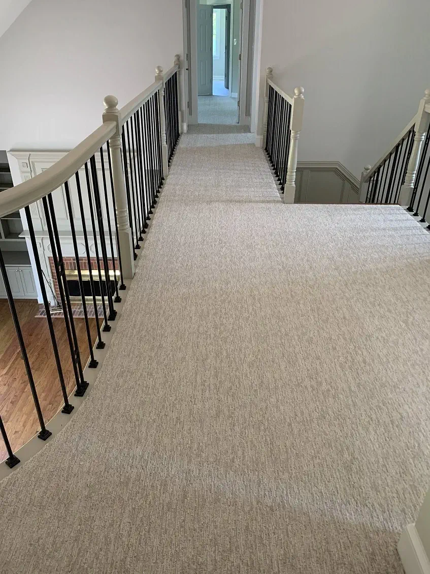 Installation Gallery Photo - Carpet Wholesale Outlet